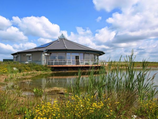 Abberton Reservoir Nature Reserve