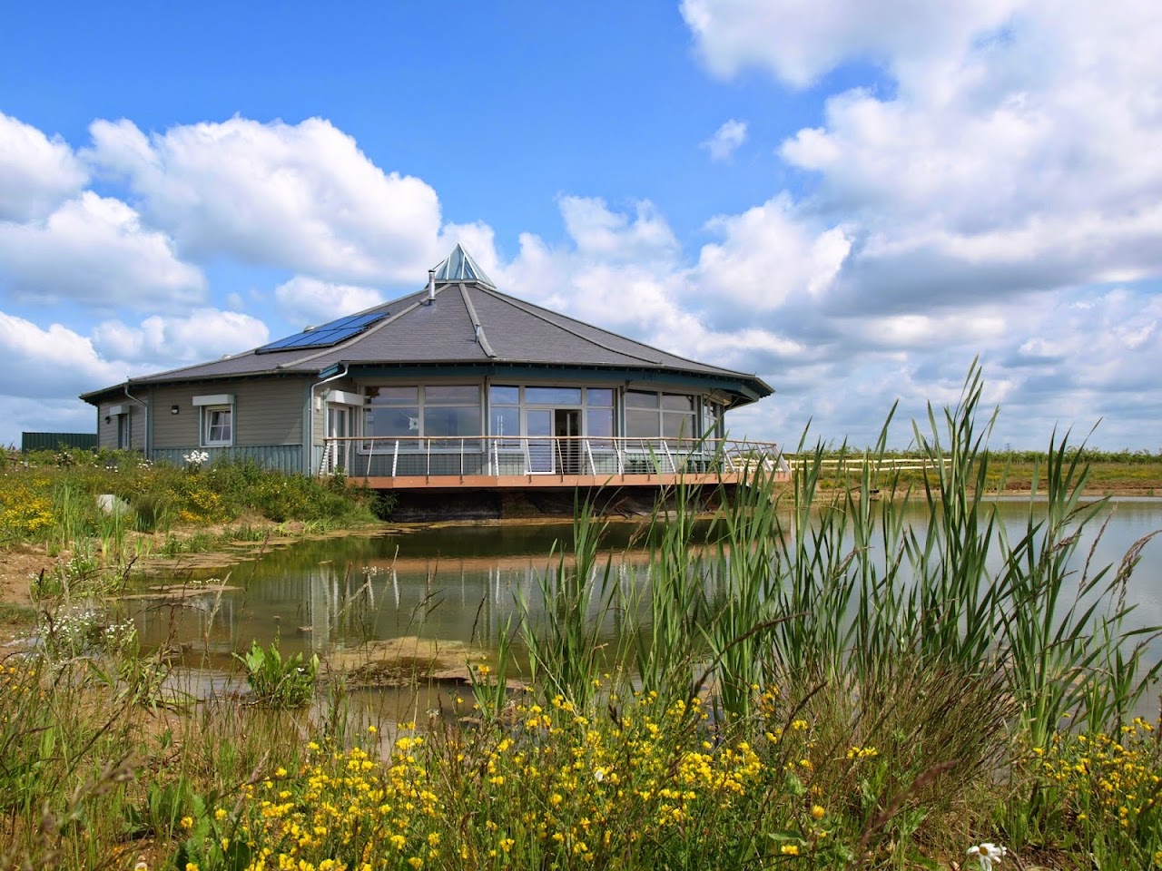 Abberton Reservoir Nature Reserve