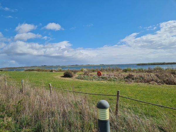Abberton Reservoir Nature Reserve