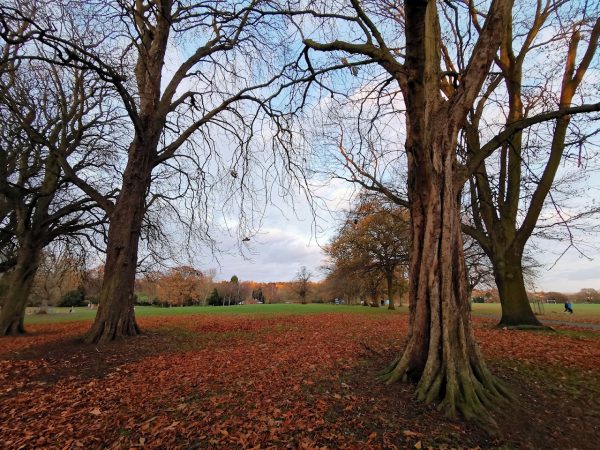 Abington Park