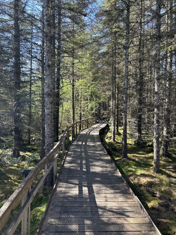 Abriachan Trails