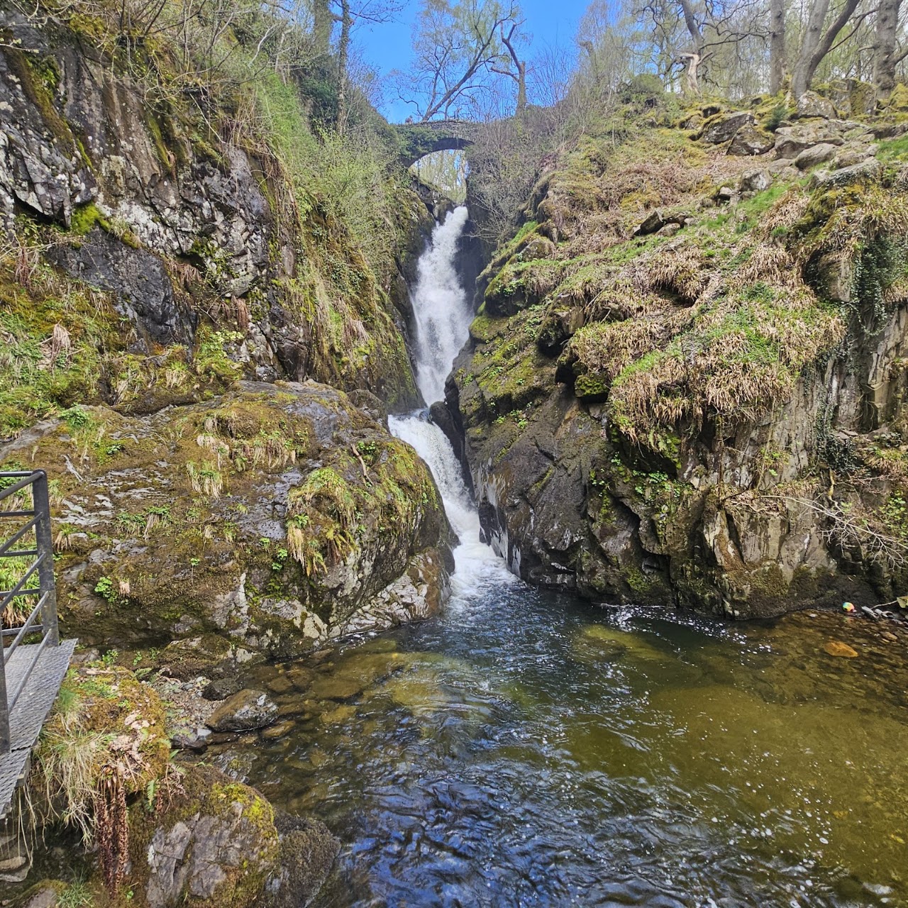 Aira Force