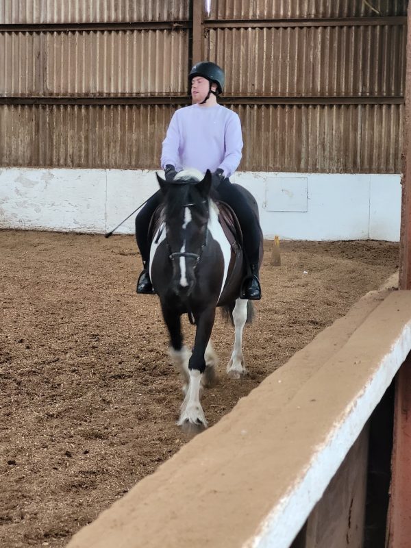 Aldborough Hall Equestrian Centre