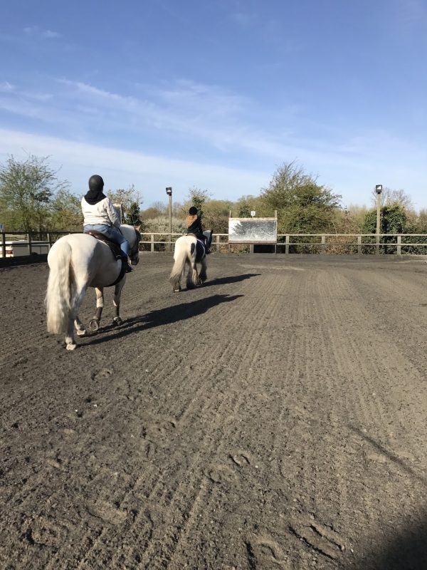 Aldersbrook Riding School