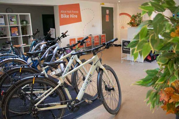 Alice Holt Forest Bike Bike Hire