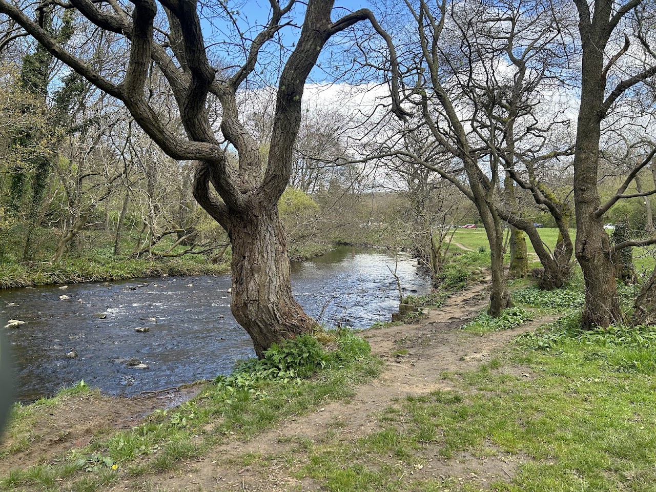 Allensford Country Park