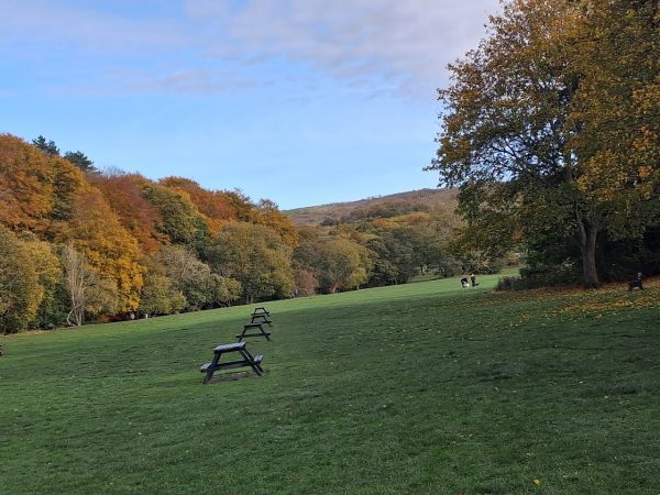 Allensford Country Park
