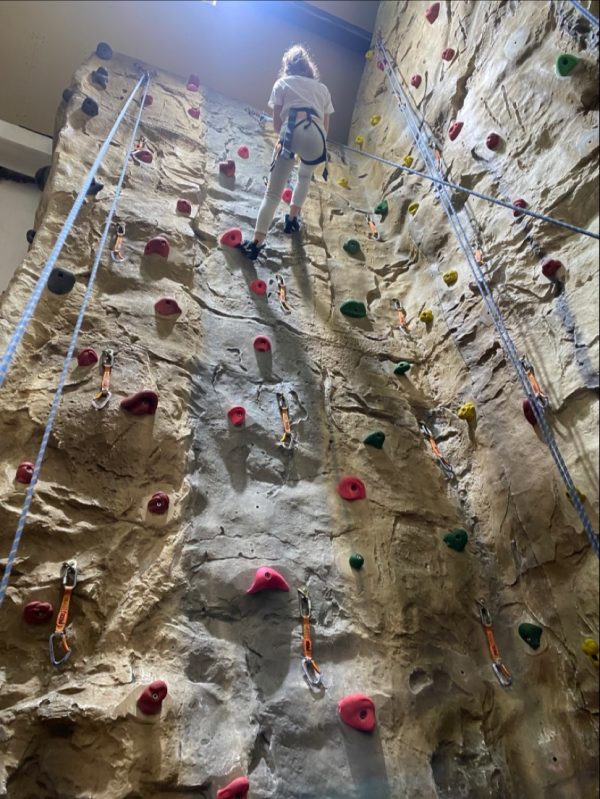 Ambleside Climbing Wall