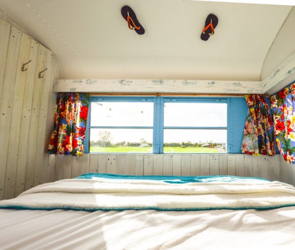 American School Bus Glamping