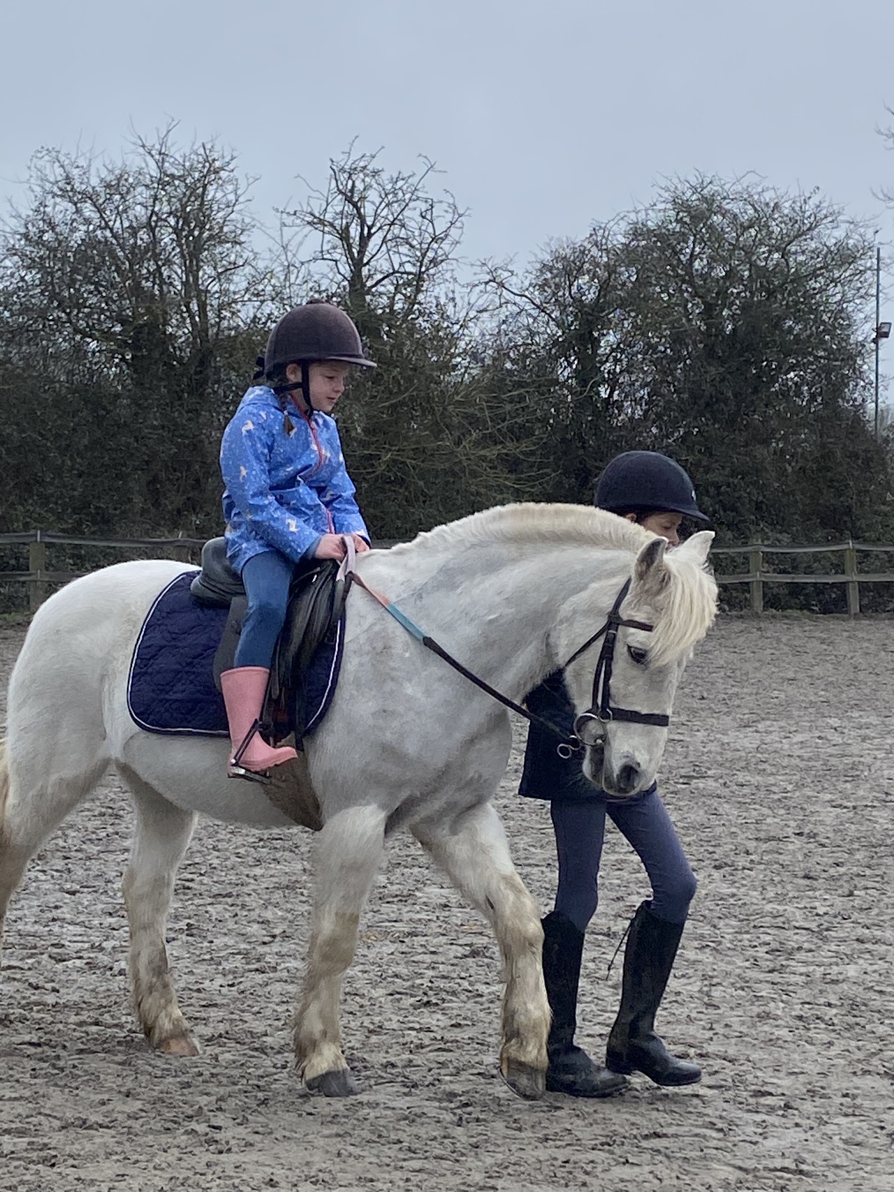 Ampfield Riding Stables