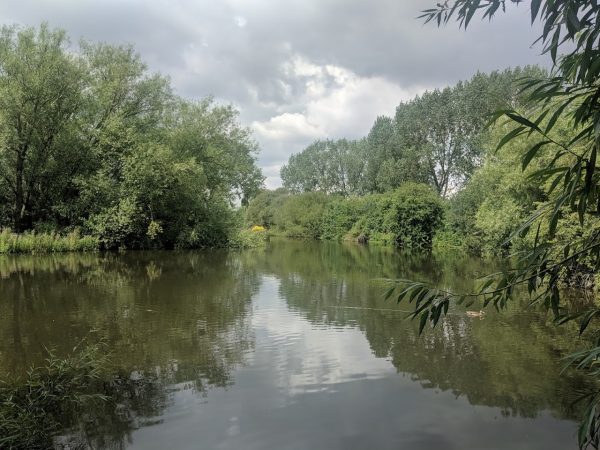 Anker Wood at Dobbies