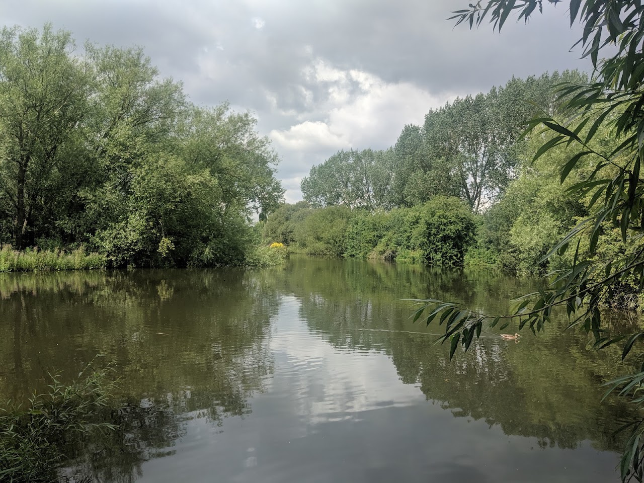 Anker Wood at Dobbies