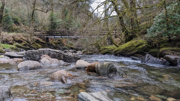 Ardkinglas Woodland Gardens