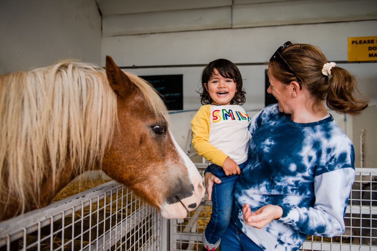 Ark Open Farm