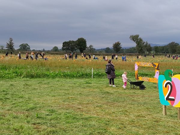 Arnprior Farm Pumpkin Patch