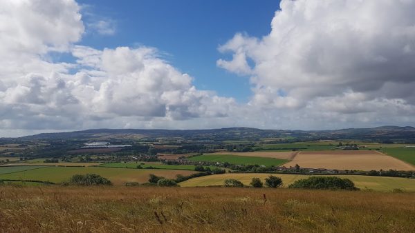 Arreton Down Wildlife Reserve