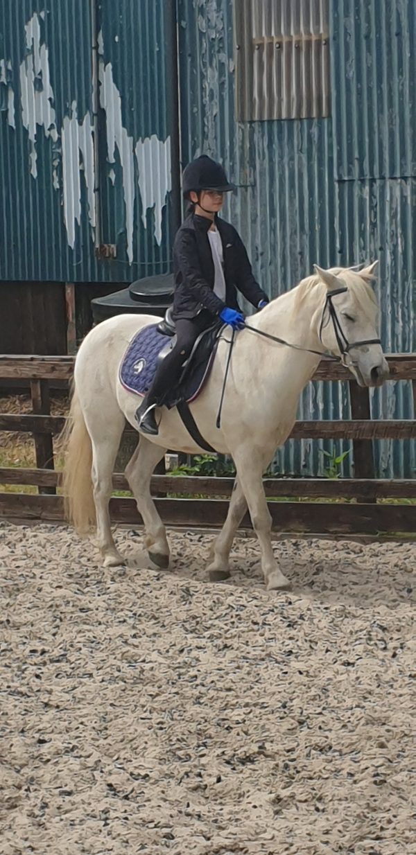 Arundel Riding Centre