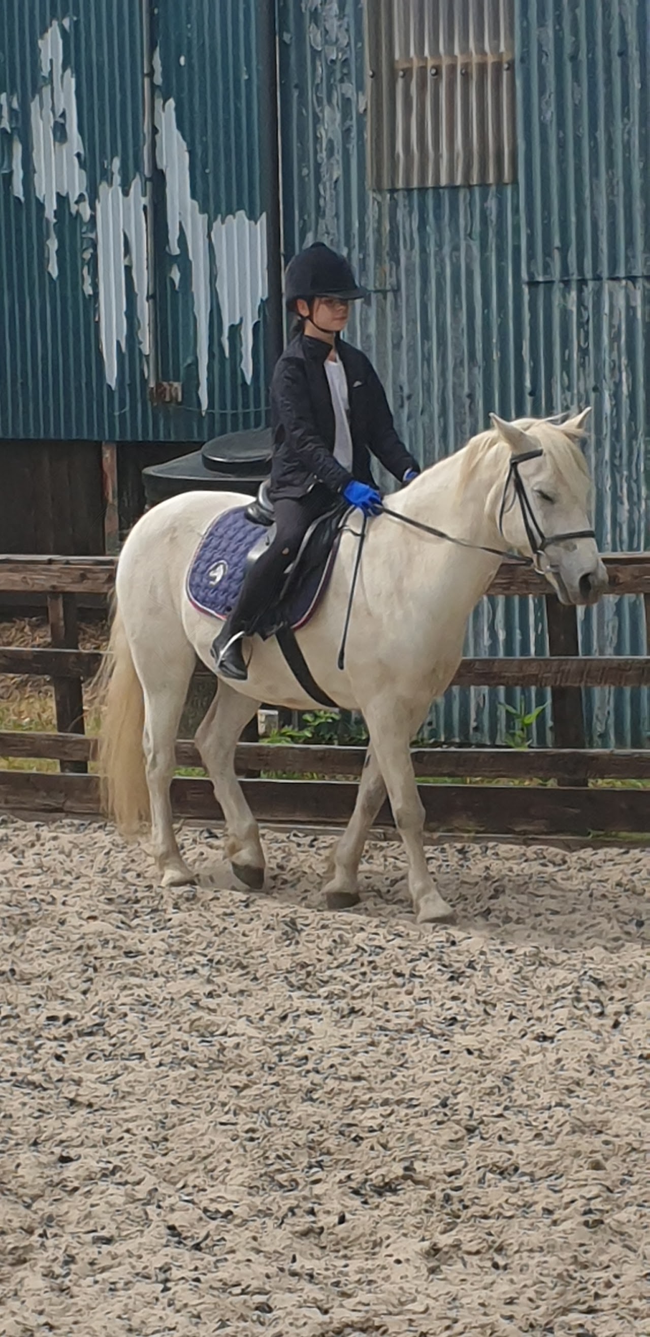 Arundel Riding Centre