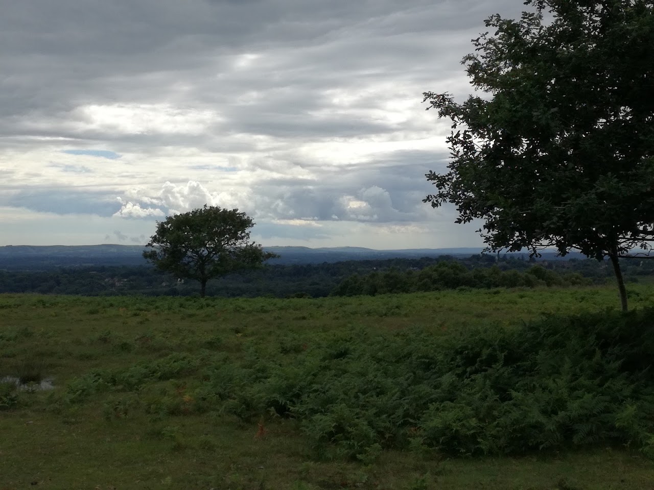 Ashdown Forest