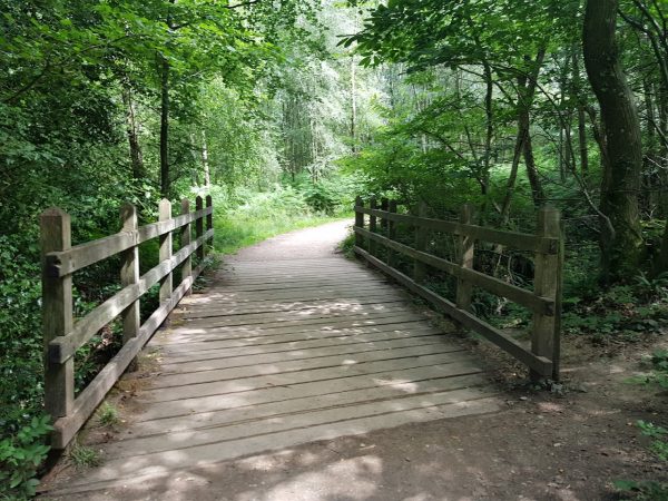 Ashdown Forest