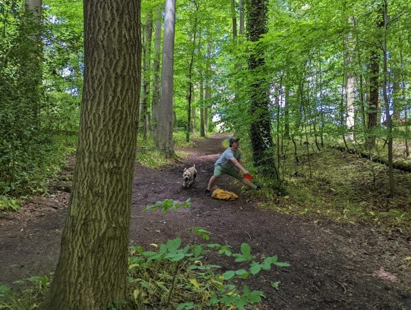 Ashton Court Disc Golf Park