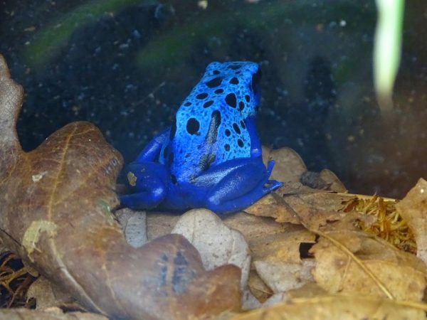 Askham Bryan Wildlife and Conservation Park