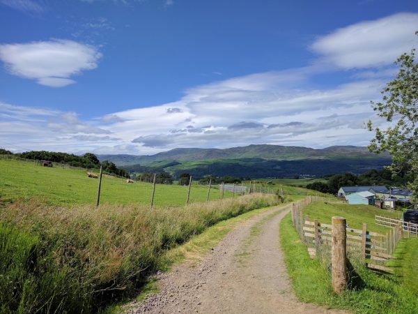Auchingarrich Wildlife Centre