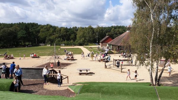 Avon Heath Country Park