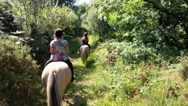 Ballahimmin Riding and Pony Trekking Centre