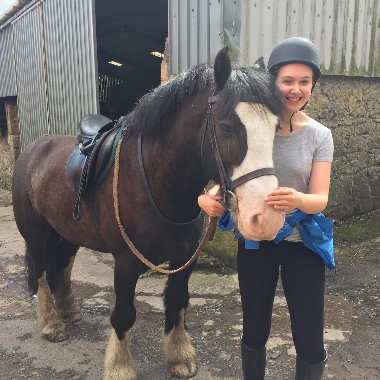 Barbarafield Riding School