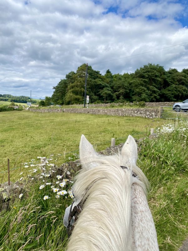 Barbarafield Riding School