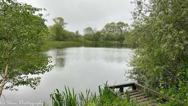 Barnwell Country Park
