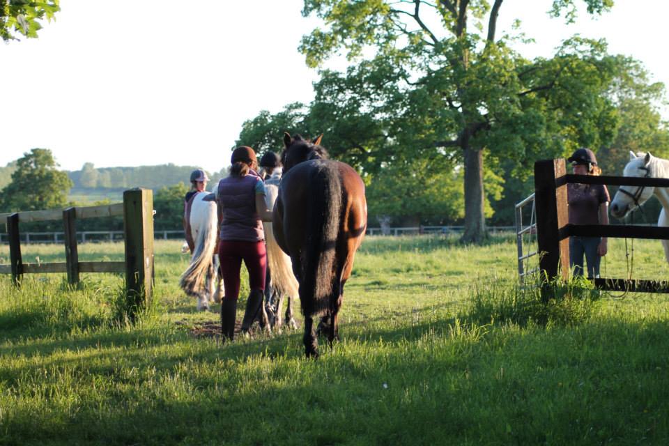 Barrow Hall Stables
