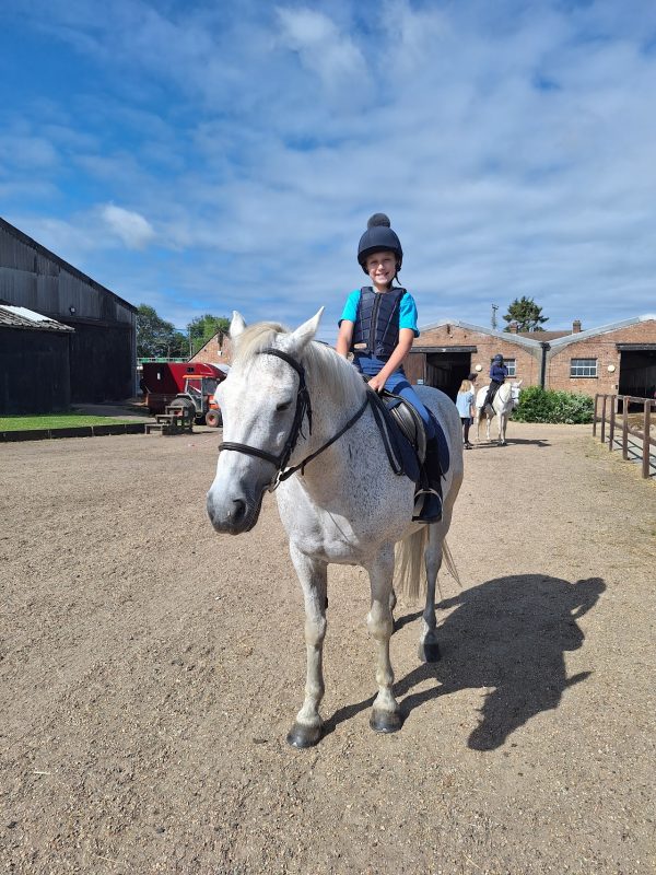 Barrow Hall Stables