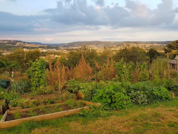 Bath City Farm