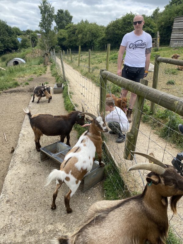 Bath City Farm