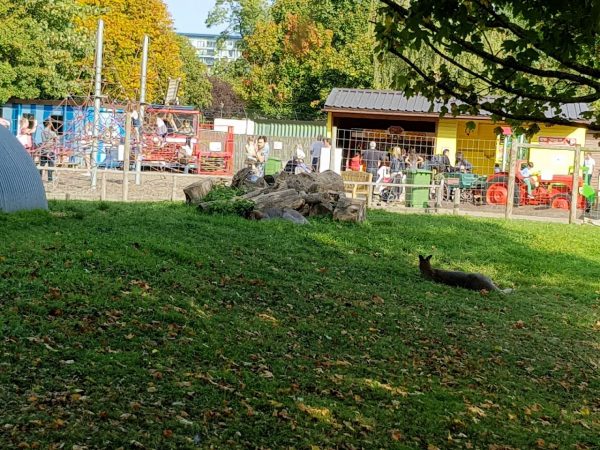Battersea Park Children's Zoo
