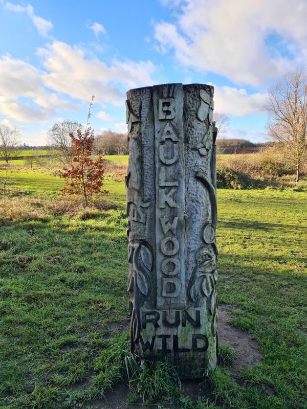 Baulk Wood