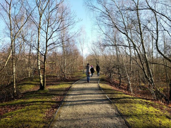 Beacon Wood Country Park