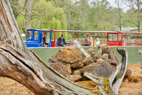 Beale Wildlife Park