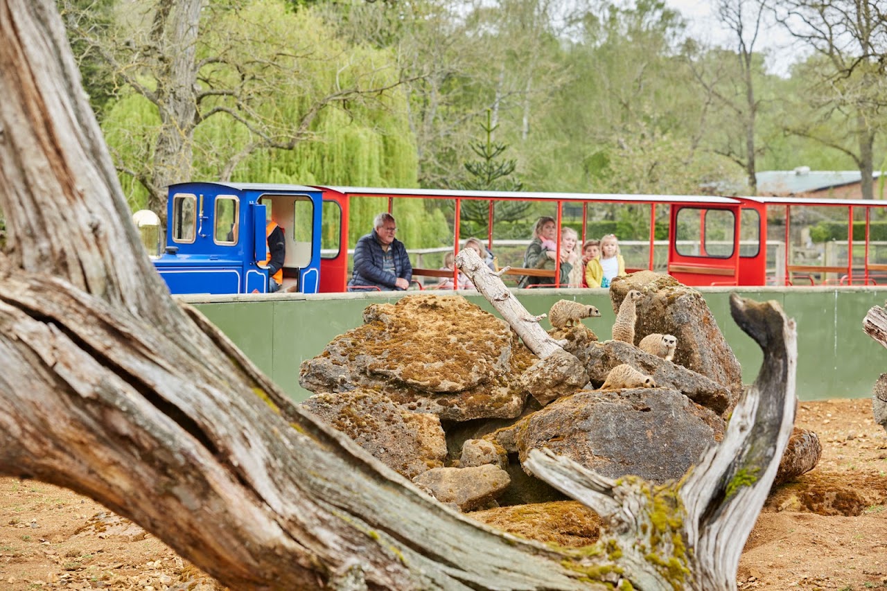 Beale Wildlife Park