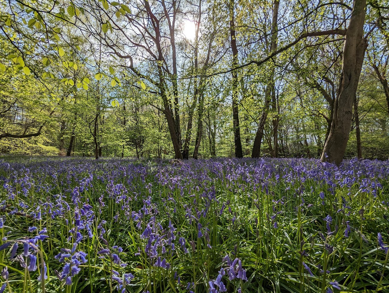 Bedelands Farm Nature Reserve