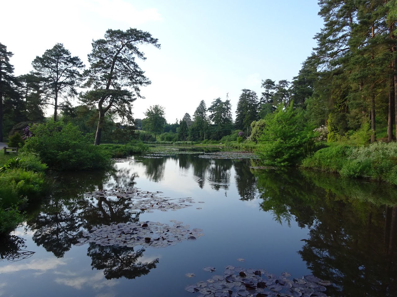Bedgebury National Pinetum and Forest