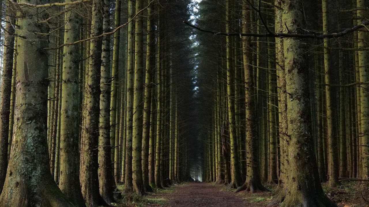 Beecraigs Country Park