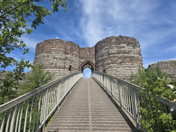 Beeston Castle and Woodland Park