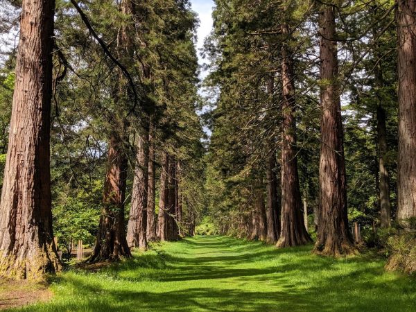 Benmore Botanic Garden