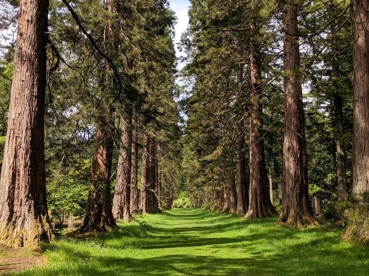 Benmore Botanic Garden