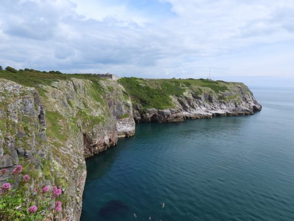 Berry Head National Nature Reserve