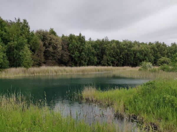 Betteshanger Park