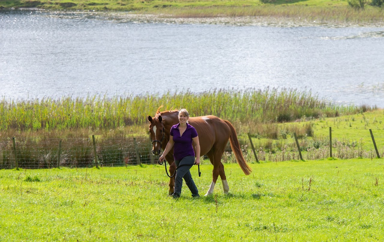 Bigland Hall Equestrian